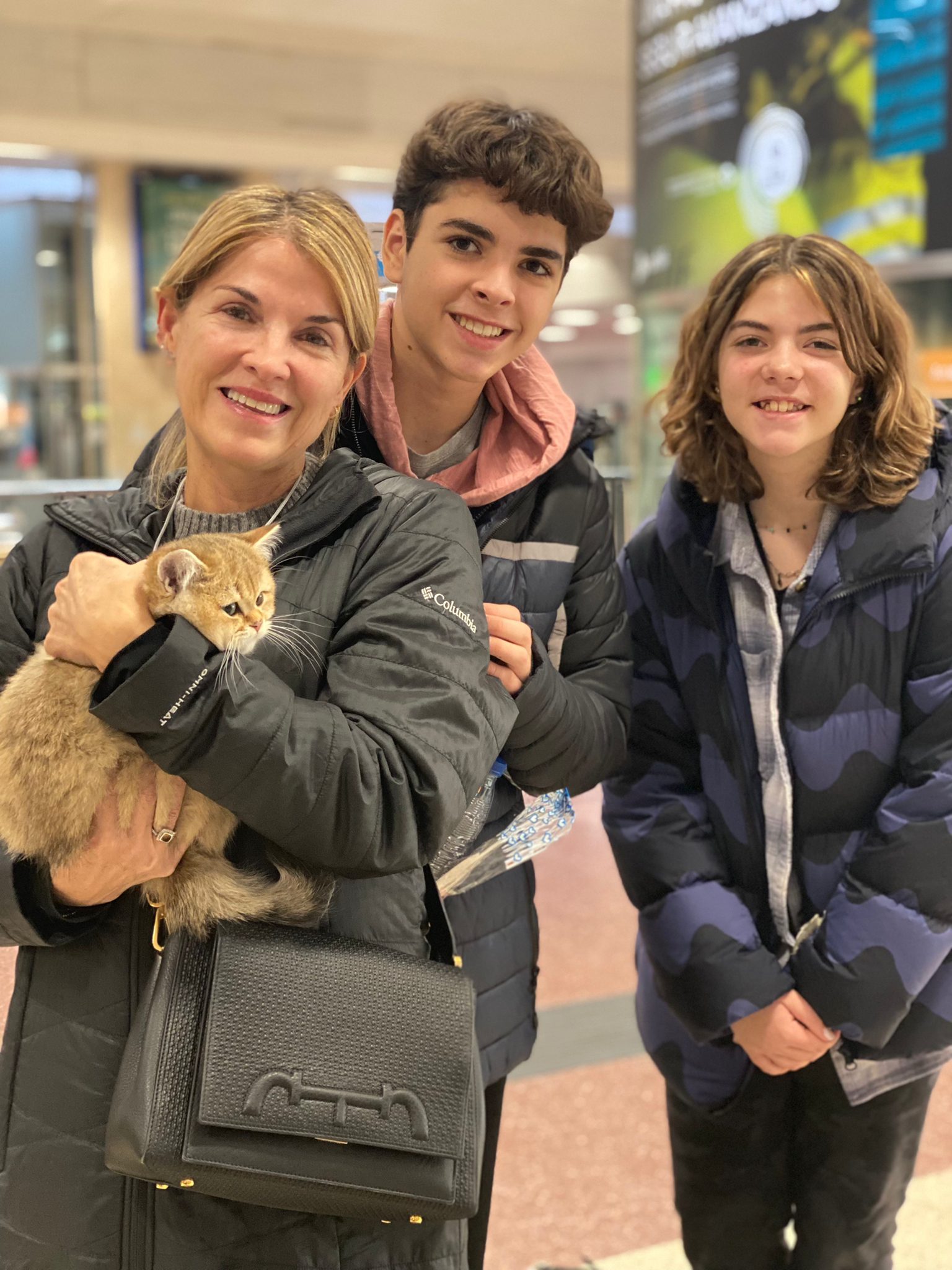 Familias MiauKolor 6