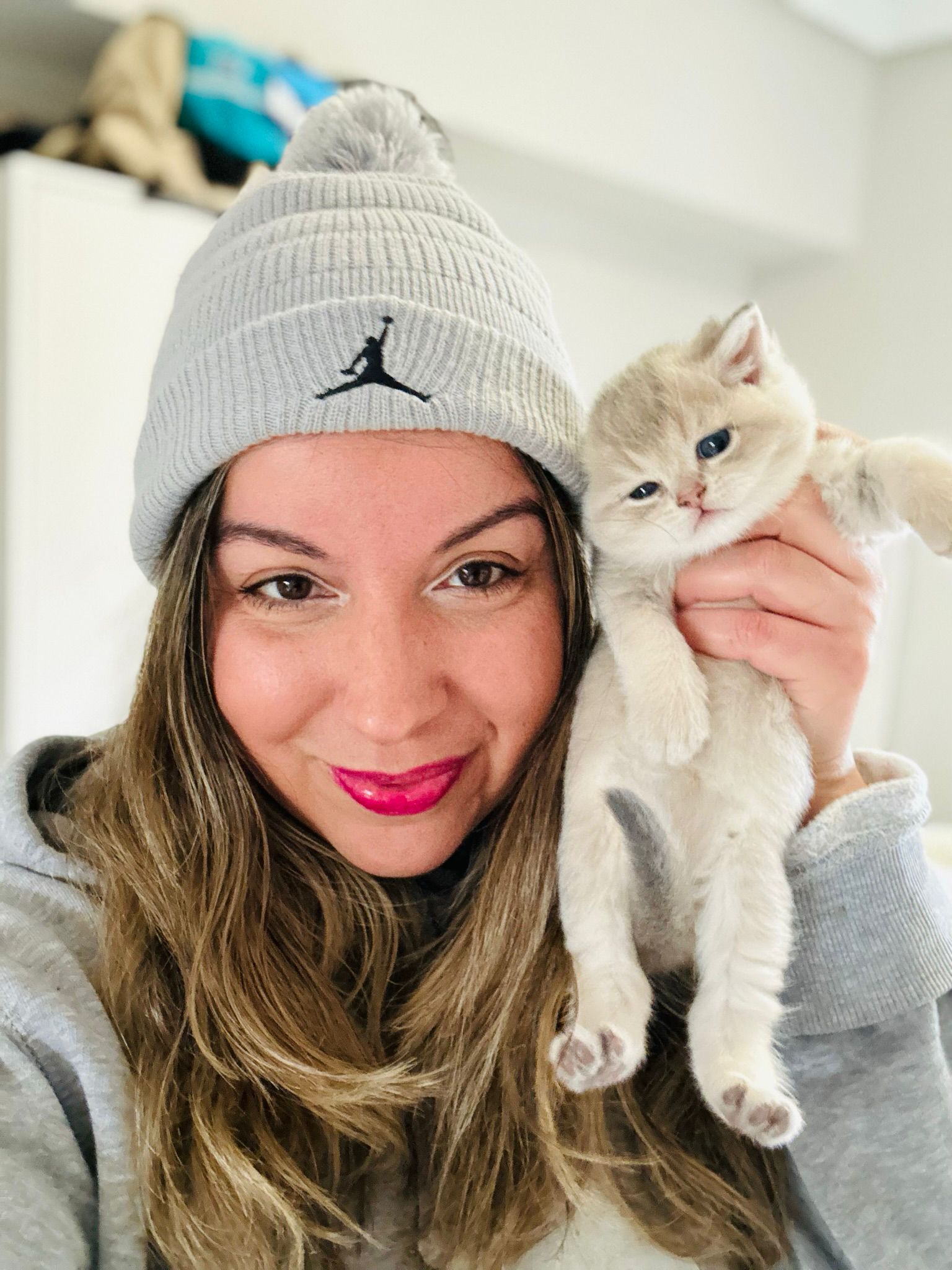 Los mejores criadores de gatos british shorthair y longhair del mundo