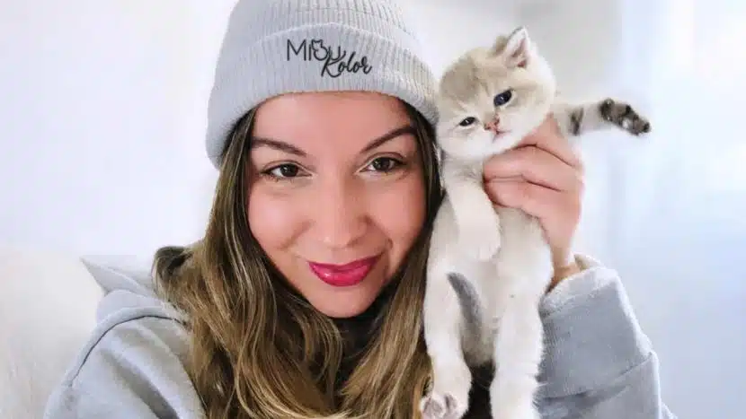 Nuestros gatos no son económicos: por qué el precio refleja calidad, legalidad y bienestar real 1